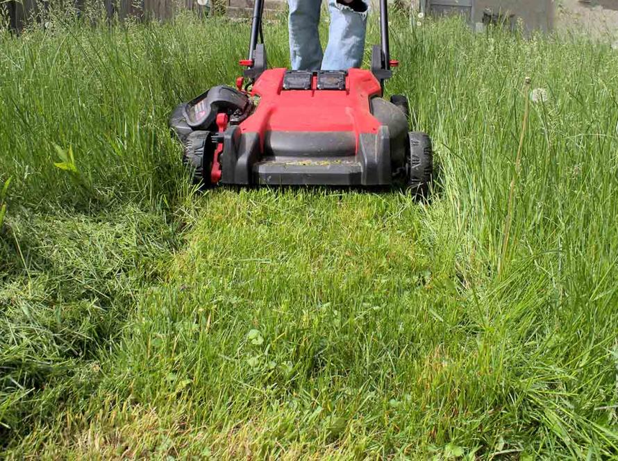 Покос травы в Таллинне