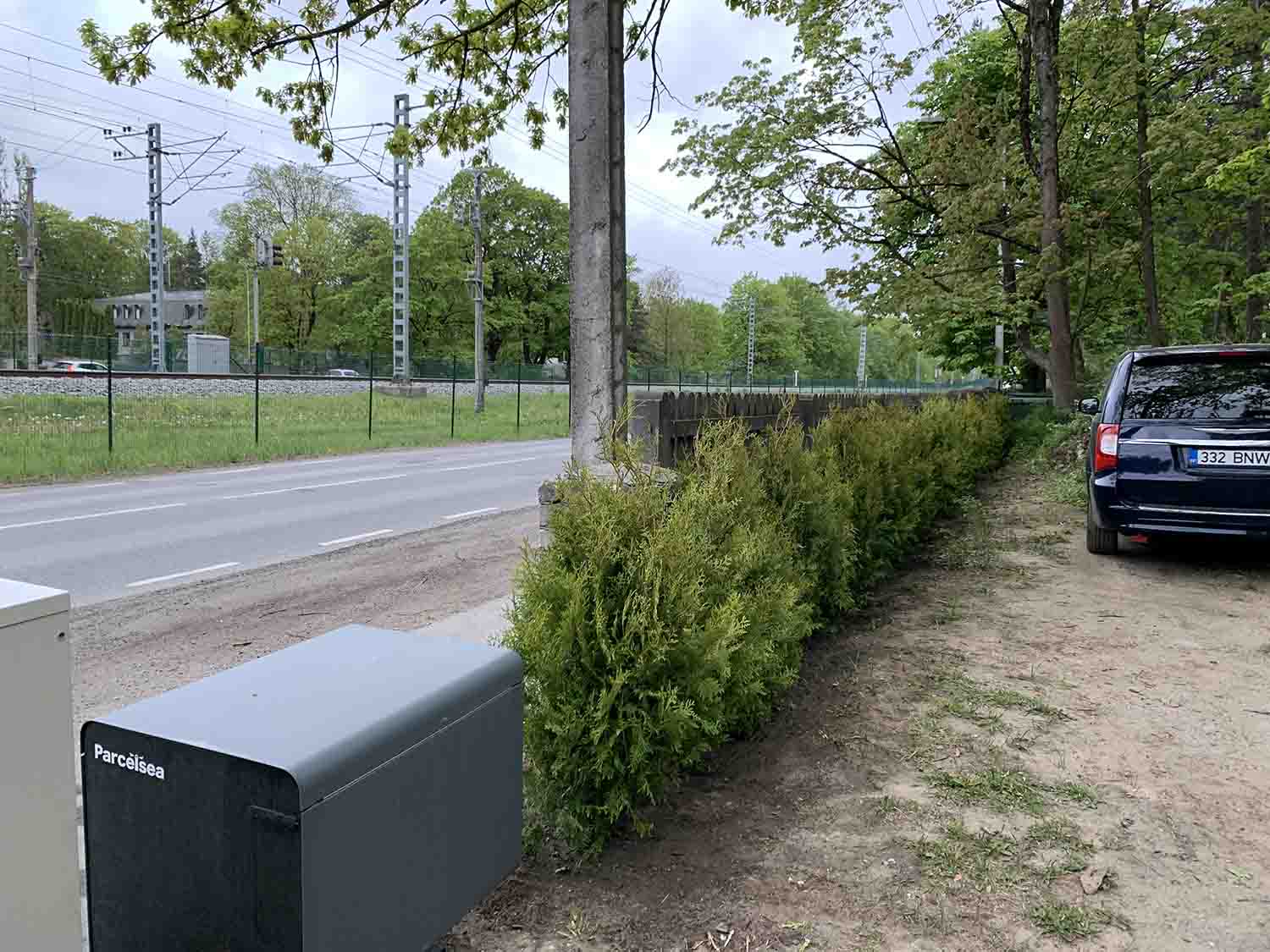 elupuude brabant istutamine