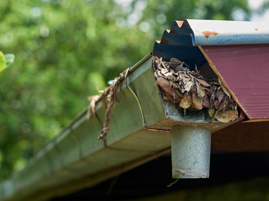 Vihmaveerennide puhastus