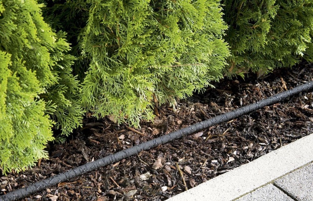 tilkkastmissüsteem elupuudele