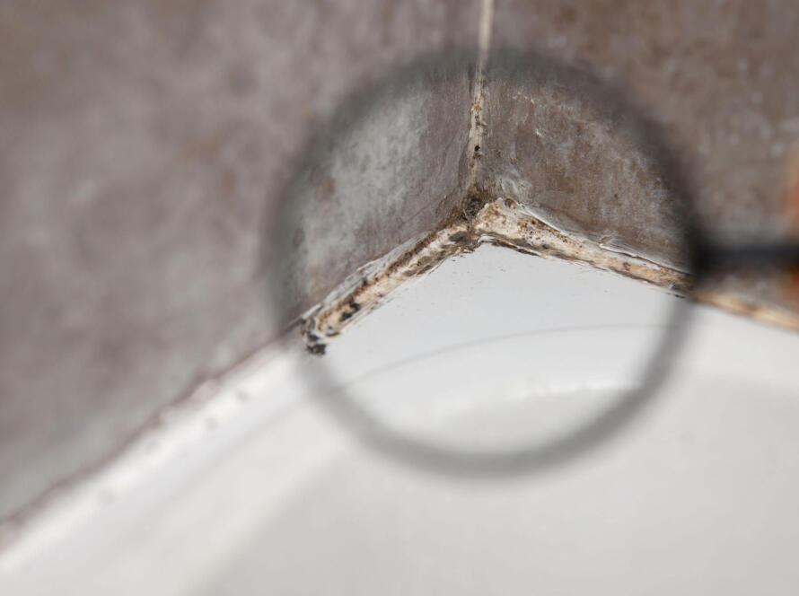 hallitus vannitoas eemaldamine