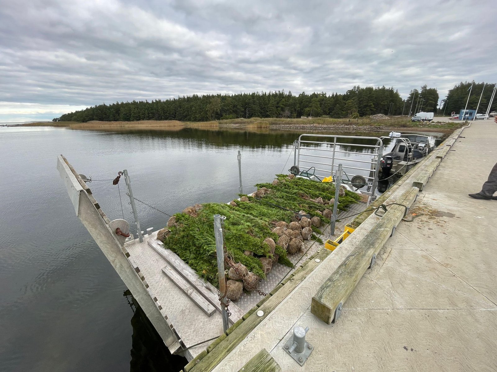 Elupuude tellimine ja transport Tallinnas